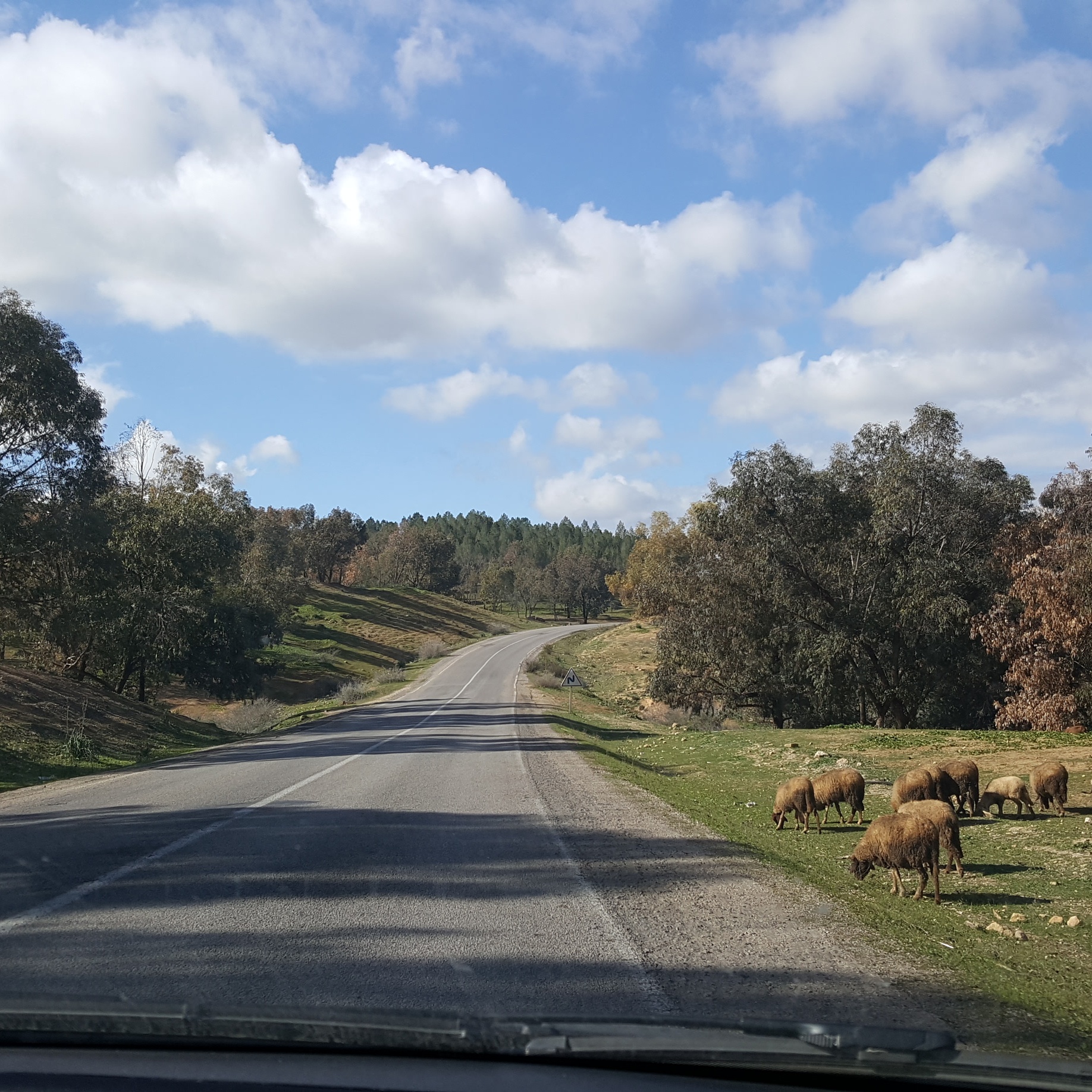 img_20170207_230901_6802